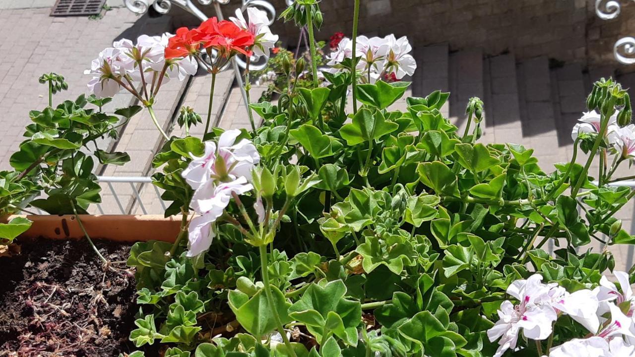 Maison A Tour Briancon ภายนอก รูปภาพ